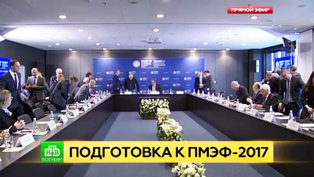 семинар для студентов-волонтеров, которые будут помогать организаторам Петербургского международного экономического форума